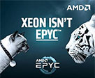 AMD广告挑衅Intel：是猫是虎拉出来遛遛